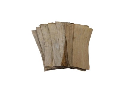 8427 1 01 6csi200101