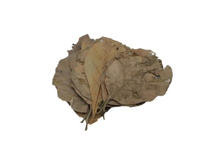 8457 1 01 hcsi200101