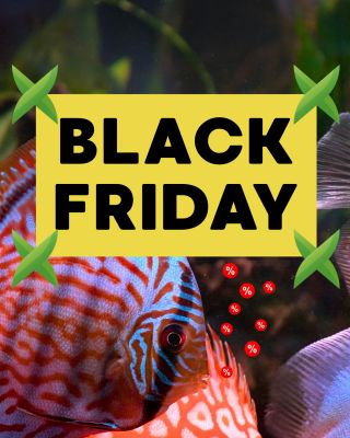 BLACK FRIDAY slevy na eshopu AkvaX.cz⁠ ⁠ Slevy platí do 1.12.2025⁠ ⁠ Link: https://www.akvax.cz/akcni-sleva/?dd=1