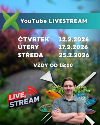 Zapište si do kalendáře termíny únorových livestreamů akvaristického poradenství na YouTube📆⁠ ⁠ ➡️AkvaX YouTube:...