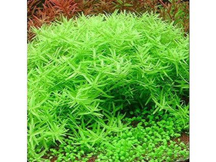 5201ed05f9f65abd1b7fe5547203c97a 1024x