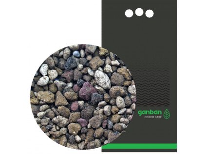 YOKUCHI GANBAN power base
