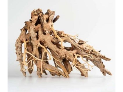 Bonsai Octopus Wood