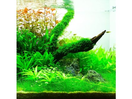 5661c867 6187 5272 beed 13382d830e34