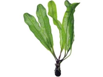 c537b9ca b67b 4f4b a1ee c52fc4a29fb9