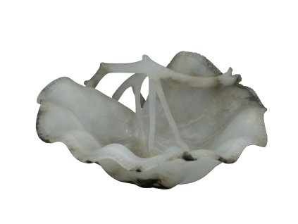 Alabastrový vyřezávaný list