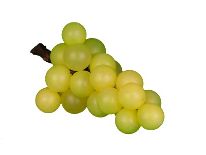 Vinná réva
