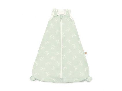 detail slbmdstrmnt1 0