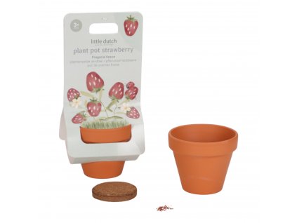 Kvetináč jahody Forest Friends