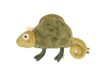 Muchláček chameleon, Crazy