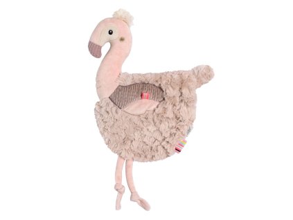 Muchláček plameniak, Pink