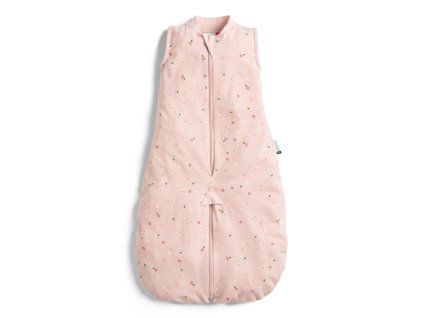 ZEPJS 0.2T03 12MDA23