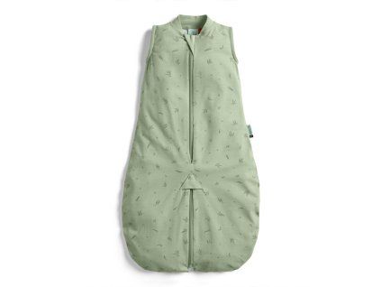 ZEPJS 0.2T03 12MWI23