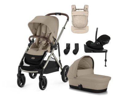 gazelle S amya almond