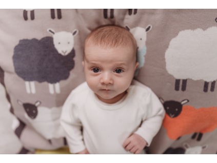2622 2 deka flock 3