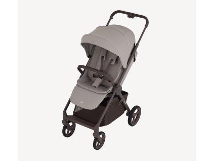 anex ride chrome21