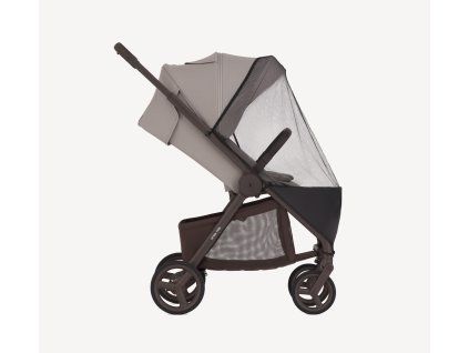 anex ride chrome13