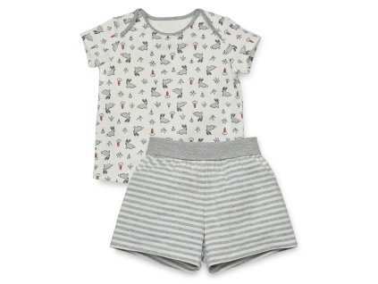 31e1a62ccecec66da503df174b30c3a4