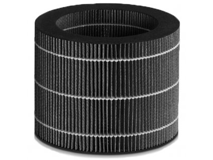 Náhradný filter pre BEURER LB 200, LB 300 Plus (110.005)