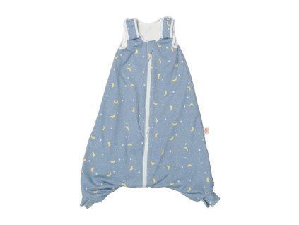 ERGOBABY | Spací vak 18-36 m On the Move TOG 2.5 - Stellar