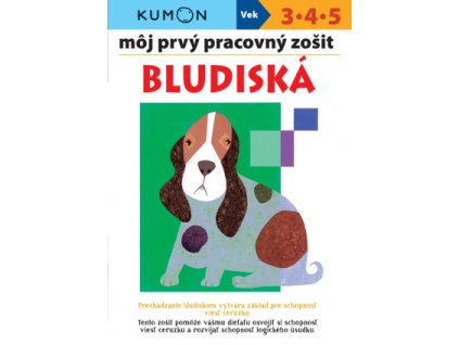 Bludiská - môj prvý pracovný zošit