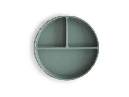 6 Silicone plate Cambridge blue p