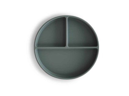 1 Silicone plate Dried Theme2 p