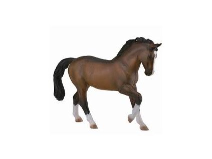COLLECTA Hřebec teplokrevníka - Zátoka