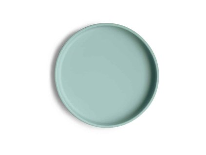 Cambridge Blue Silicone Plate Top p