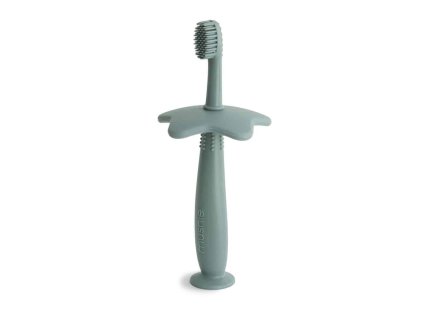 Star Toothbrush Cambridge Blue p