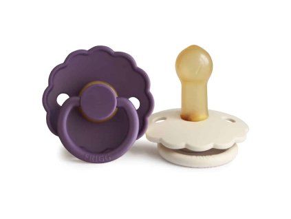 Violet Dream Cream Daisy twopack rubber 6 18 p
