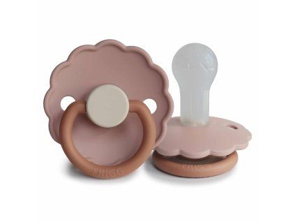 Biscuit FrontSide siliocneNEW 6 12