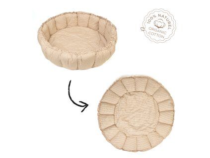 Bloom Stripes brown transforming with logo 2