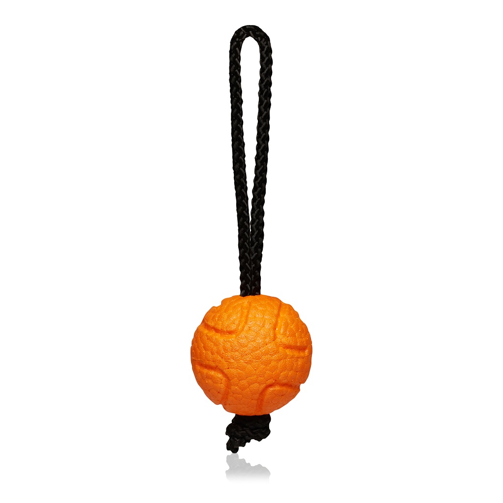 E-shop EXPLORER DOG AirBall na provaze Oranžový 6,5 cm