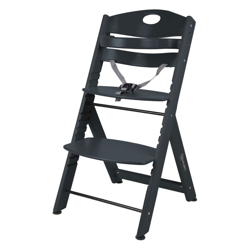 E-shop BABYGO Jedálenská stolička FAMILY XL Black