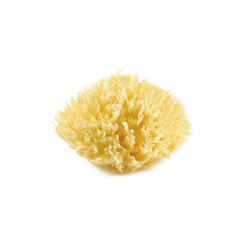 E-shop THERMOBABY Mořská houba, Yellow