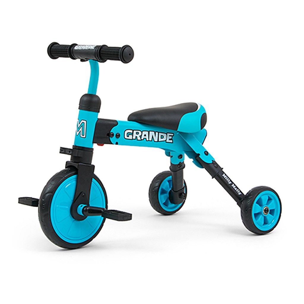 E-shop Detská trojkolka 2v1 Milly Mally Grande blue - 41642