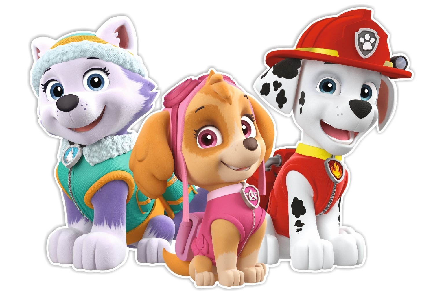 E-shop Nickelodeon Nástenná dekorácia Paw Patrol, Everest, Skye, Marshall