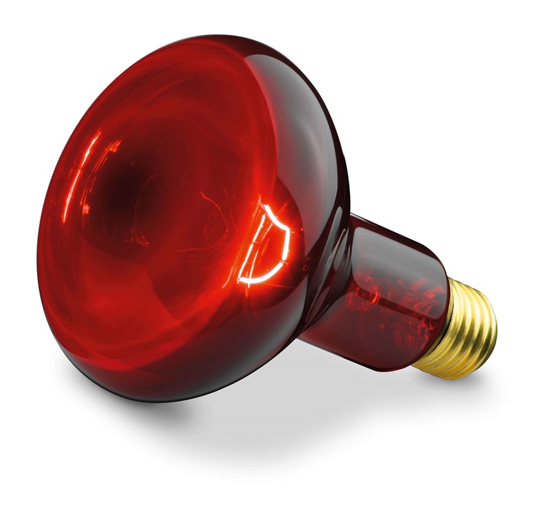 E-shop Beurer Infražiarovka do infralampy 100W (IL 11, SIL 06, IL 808)
