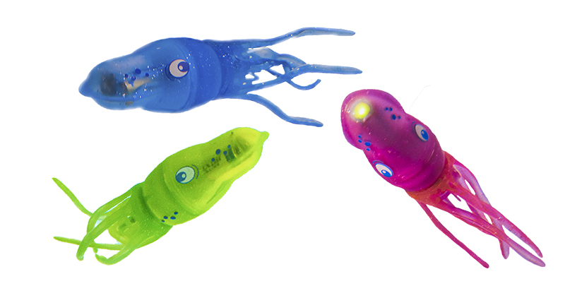 E-shop SPORTO Squiddy zelená