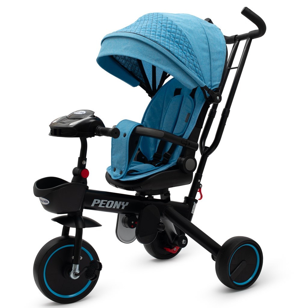 E-shop Detská trojkolka Baby Mix Peony EVA modrá - 56313