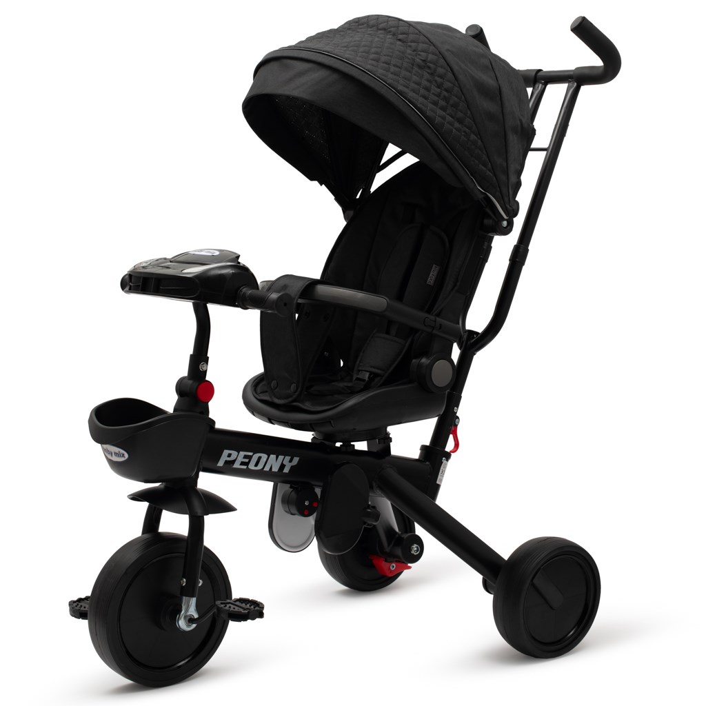 E-shop Detská trojkolka Baby Mix Peony EVA čierna - 56314