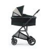 oyster gravity plus hluboka korba black olive 2025
