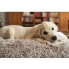 28410 3 dogspace creating room for your dog 33 300