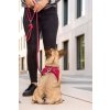 CURLI Postroj pre psov so sponou Air-Mesh Ruby XL, 12-18 kg