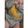 Chrastitko banan2