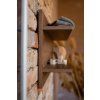 30123 4 nest walnut falipolc reszlet 4