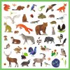 Samolepky: Fauna (160 ks)