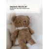 myhummy teddy brown app6