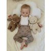 myhummy teddy brown app duo2